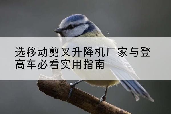 太康电动升降机厂家-选移动剪叉升降机厂家与登高车必看实用指南
