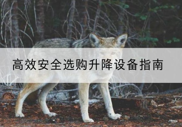 太康升降货梯厂家推荐-*安全选购升降设备指南