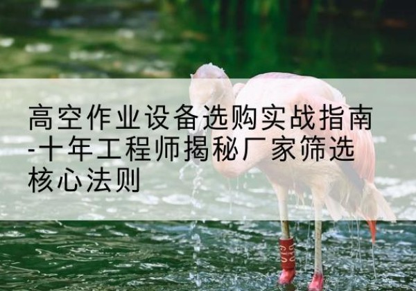 太康剪叉式升降机厂家-高空作业设备选购实战指南-十年工程师揭秘厂家筛选核心法则
